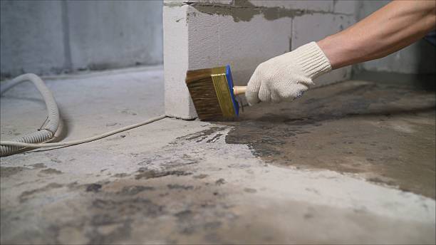 SJ Waterproofing Pros Basement Waterproofing coverage map for Stevensville, MD and surrounding area
